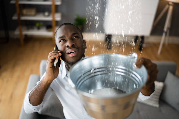 Best Flood restoration services  in Dent, OH