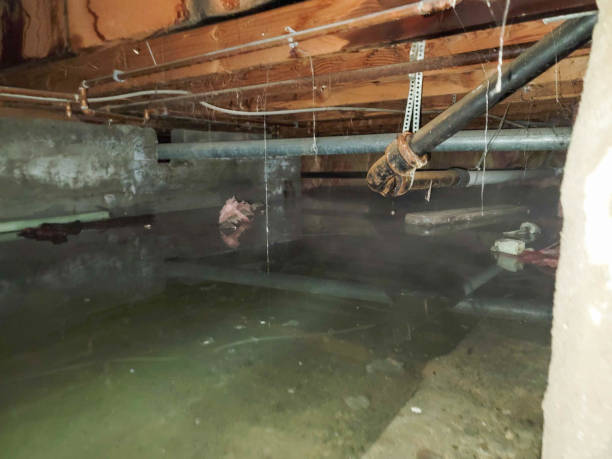Best Residential water damage restoration  in Dent, OH