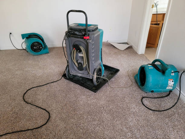 Best Professional water damage repair  in Dent, OH