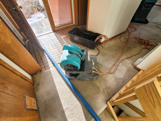 Best Flooded house restoration  in Dent, OH