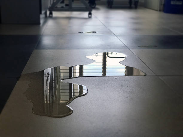 Best 24/7 water damage repair  in Dent, OH