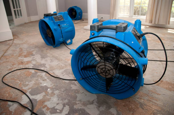 Best Local water damage restoration  in Dent, OH