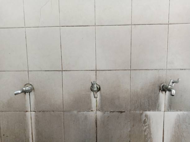 Best Mold removal after water damage  in Dent, OH
