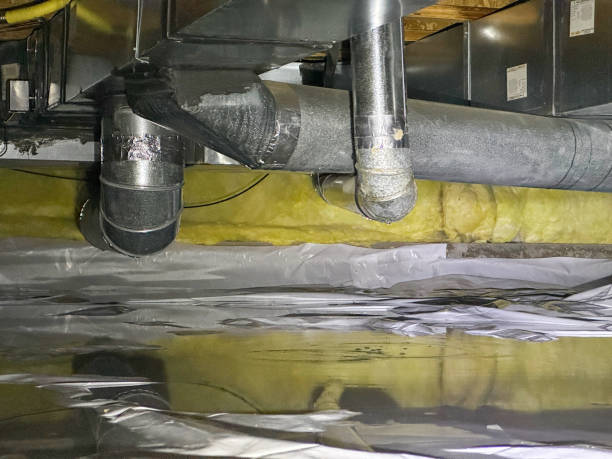 Best Basement water damage restoration  in Dent, OH