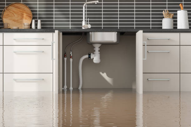 Best Water damage restoration near me  in Dent, OH