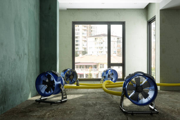 Best Ceiling water damage repair  in Dent, OH